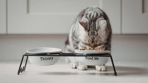 Making Mealtimes More Enjoyable